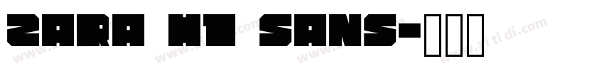 Zara H1 Sans字体转换
